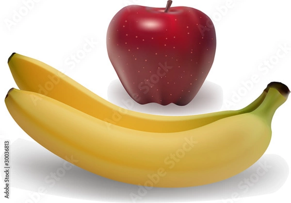 Fototapeta fruits vector