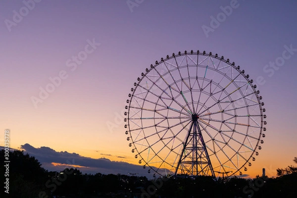 Obraz 観覧車