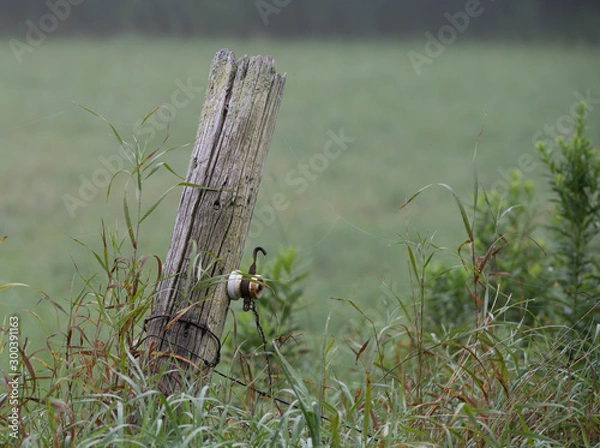 Fototapeta Old fence post on a hazy day