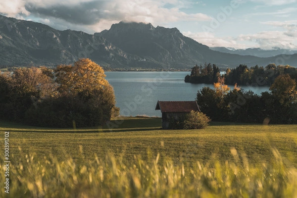 Obraz View over the lake "Forggensee"