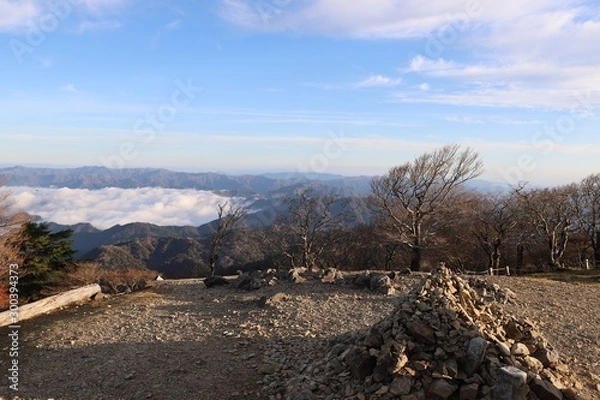 Fototapeta 大台ケ原　日出ヶ岳からの雲海