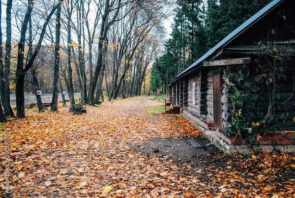 Obraz house in autumn