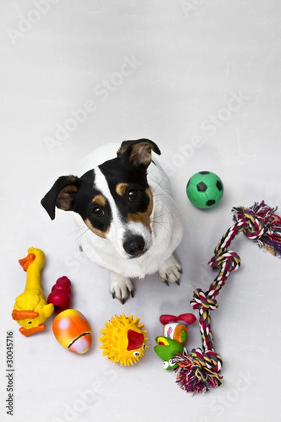 Fototapeta Spielzeug