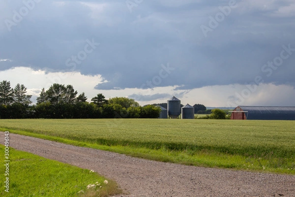 Fototapeta Prairie Storm Clouds Canada