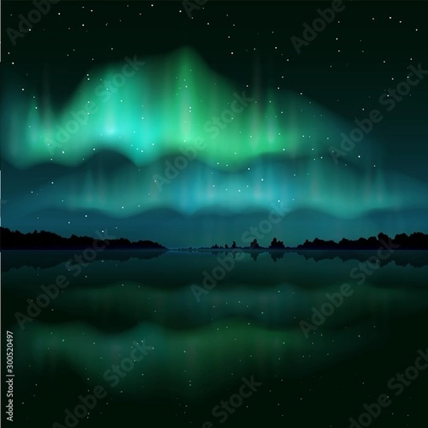 Obraz Northern lights, aurora borealis, vector realistic illustration
