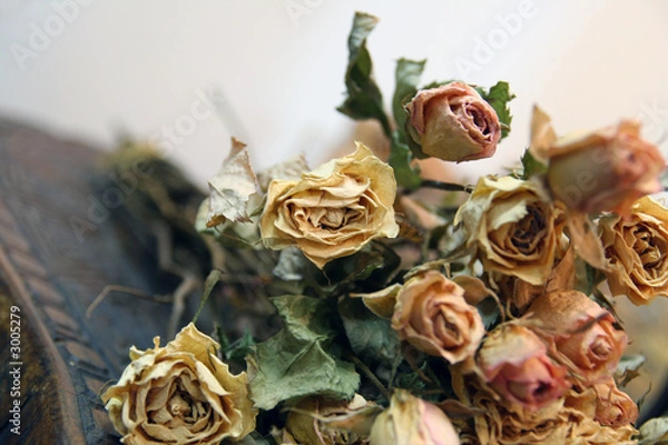 Obraz dry roses