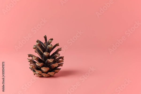 Fototapeta Christmas holiday background. Pine cone on a pastel pink background with copy space.
