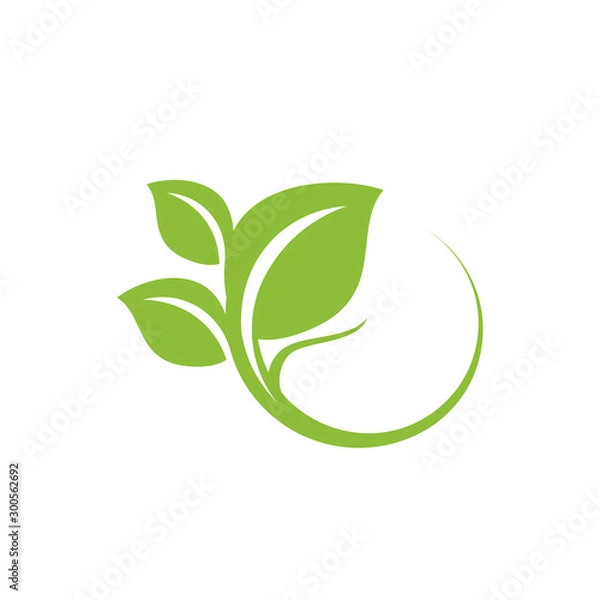Fototapeta nature green leaf element vector icon. green leaves vector symbol