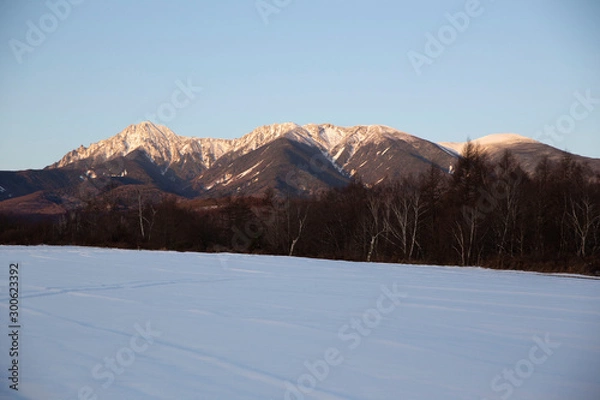 Obraz 朝日に映える八ヶ岳連峰と雪原
