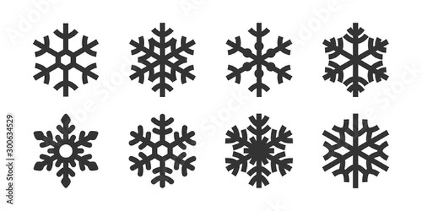 Obraz set of vector snowflakes