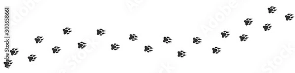 Obraz Footpath trail of animal