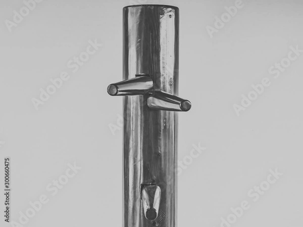 Obraz b&w wooden dummy from wing chun 