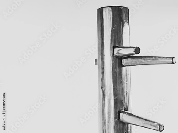 Obraz standing wooden dummy from wing chun martial art