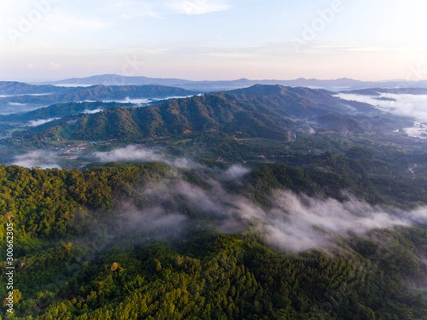 Fototapeta Aerial Drone image of beautiful Misty And Foggy dew during early morning sunrise at beautiful rainforest Sabah, Borneo
