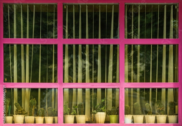 Obraz A row of vintage cactus pots standing on a windowsill behind old dusty window frame painted in purple color over background of vertical blinds.