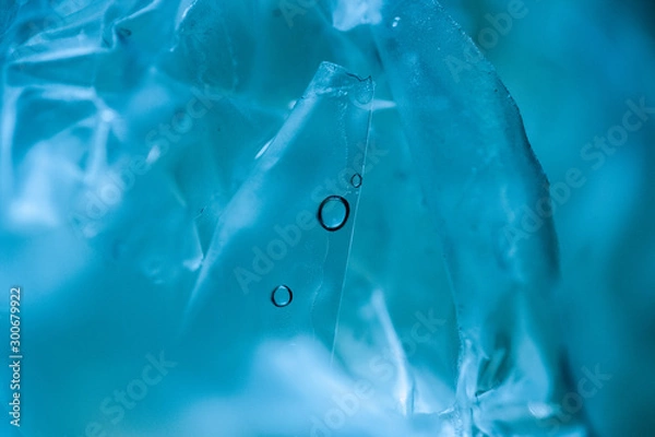 Obraz Plastic Macro
