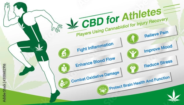 Obraz Cannabidiol CBD used for Athletes.Health benefits of Cannabidiol CBD from cannabis, hemp, marijuana, weed effect on body Runner or players. vector infographic on gray gradient  background.