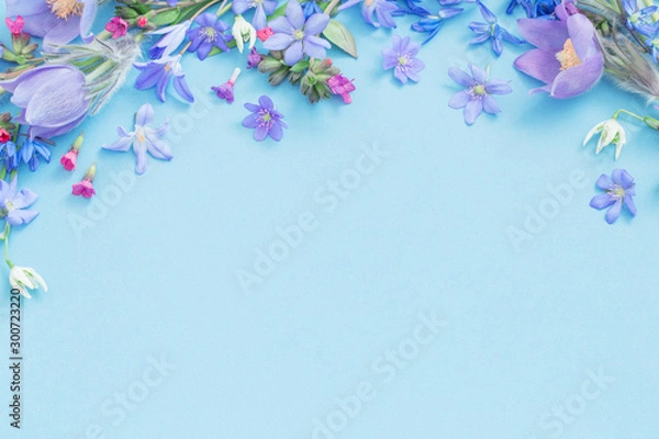 Obraz wiosenne kwiaty na niebieskim tle