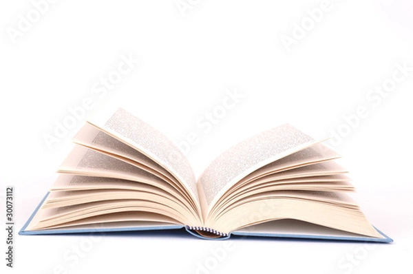 Obraz Opened book