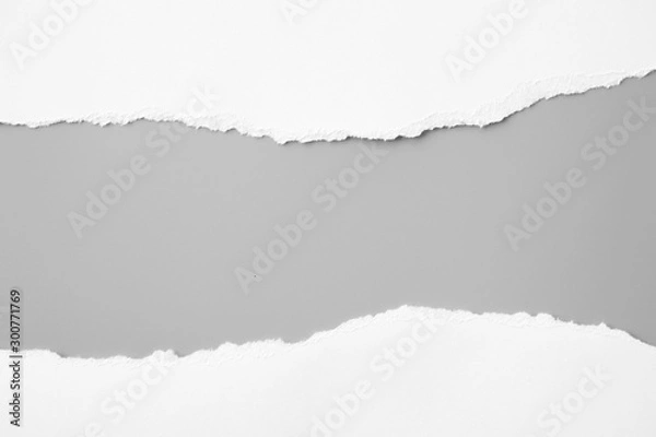 Fototapeta Biały rozdarty papier na szarym tle. RIP papieru do kolekcji