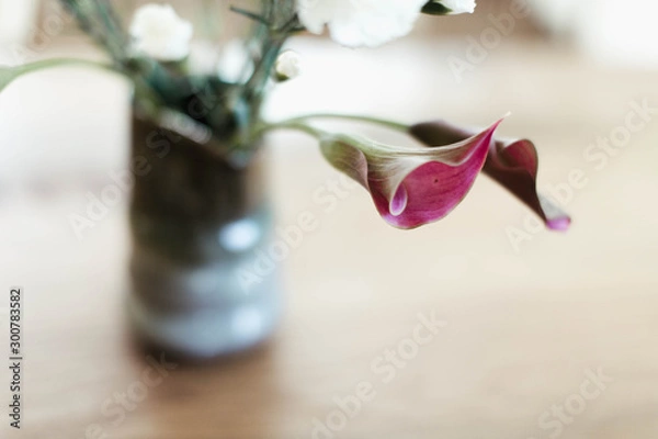 Fototapeta Calla Lilly