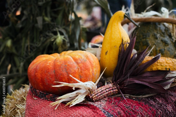 Obraz Fairytale Pumpkin