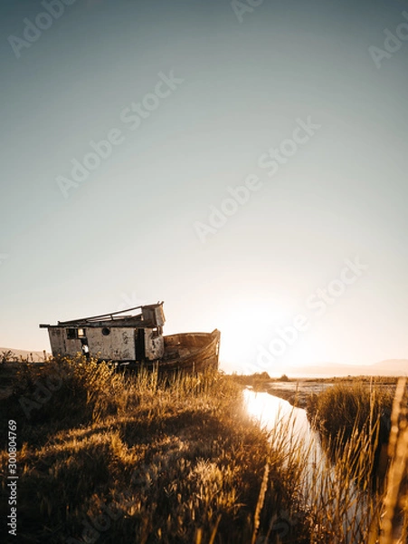 Fototapeta Old Shipwreck at the Beach in Point Reyes