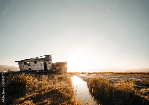 Fototapeta Old Shipwreck at the Beach in Point Reyes
