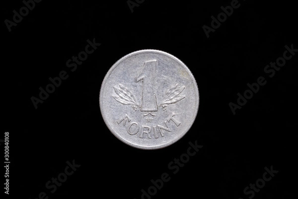 Fototapeta Old Hungarian People's Republic 1 Forint, 1 HUF coin from 1969, reverse. Isolated on black background