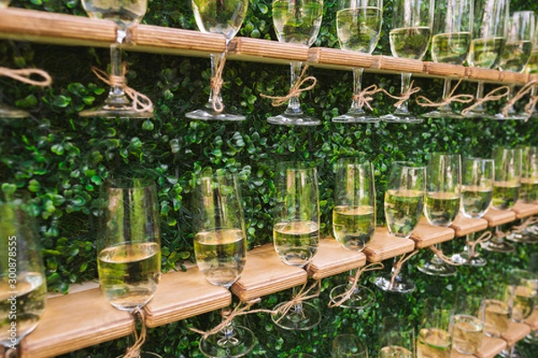 Fototapeta Unusual creative catering for holiday celebrations. Many glasses with champagne isolated on green foliage background. Horizontal color photography.