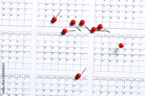 Fototapeta Many close up of pin on calendar planning for business meeting or travel planning concept