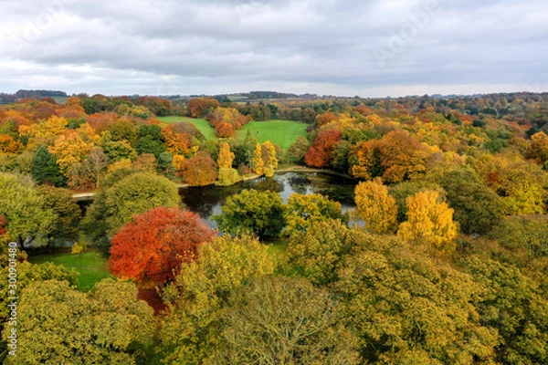 Fototapeta Top down aerial photo in autumn showing the beautiful fall autumn colours of a park and pond opposite a golf course in Leeds known as The Roundhay Park in West Yorkshire UK, typical British park