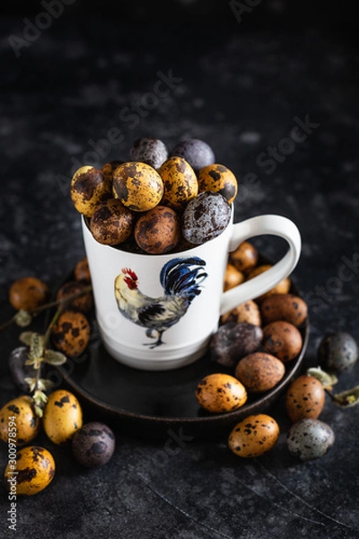 Obraz Easter colored quail eggs, painting Easter eggs with natural dyes