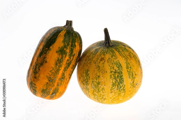 Obraz Two small pumpkin