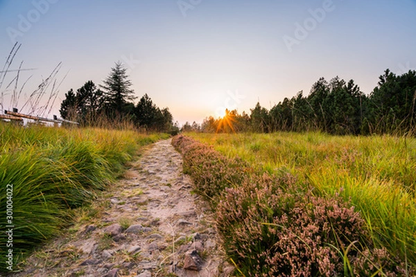 Obraz Wanderung im Schwarzwald