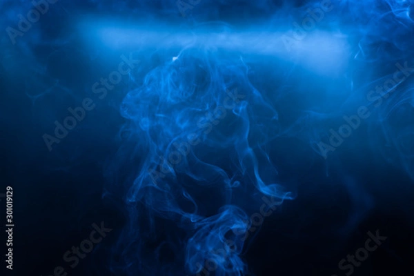 Obraz Smoke movements background in low blue light
