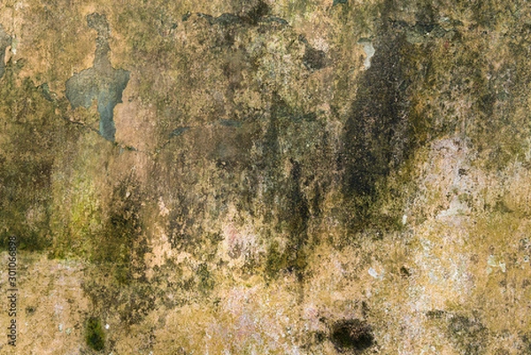 Fototapeta Old Wall Texture. Painted Distressed Wall Surface. Grungy Wide Brickwall. Grunge Red Stonewall Background. Shabby Building Facade With Damaged Plaster and green lichen. Copy Space.
