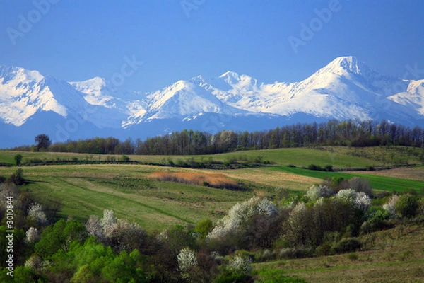 Fototapeta mountain range