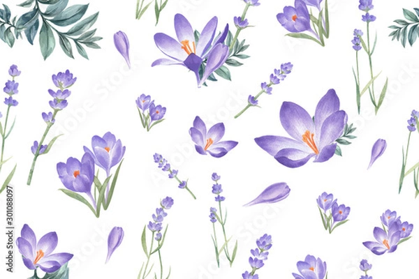 Fototapeta Winter bloom pattern design with crocus, lavender watercolor illustration.