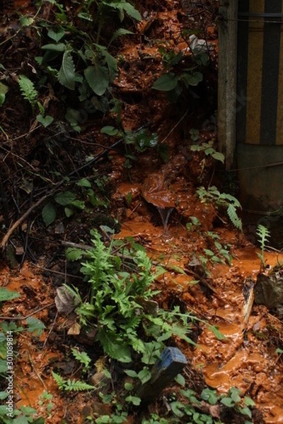 Fototapeta 鉄バクテリア