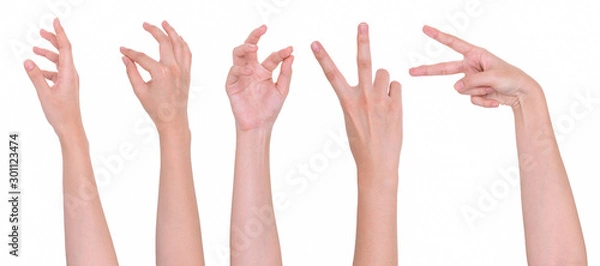 Fototapeta Woman hand hold gesture showing isolated on white background