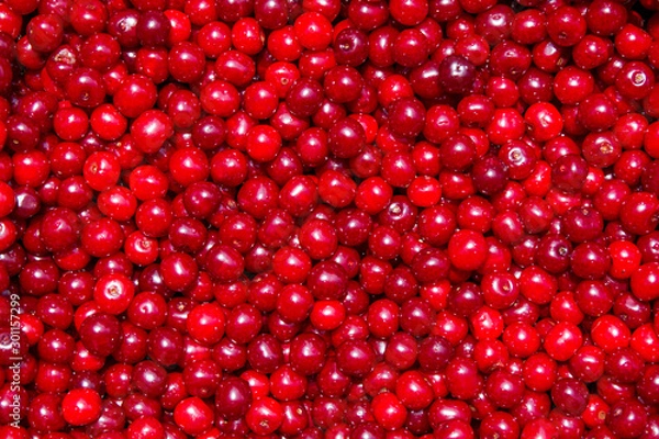 Fototapeta cherry backgrounds
