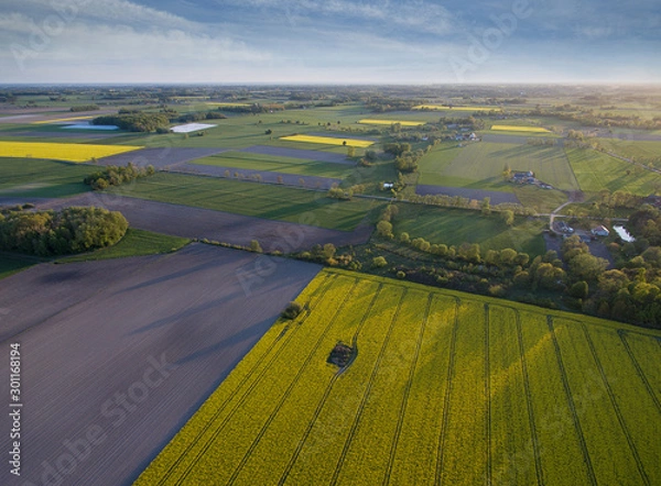 Obraz Aerial view of cultivated fields 9