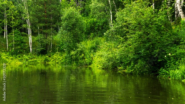 Obraz lake in the forest