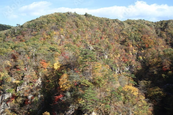 Fototapeta 鳴子峡