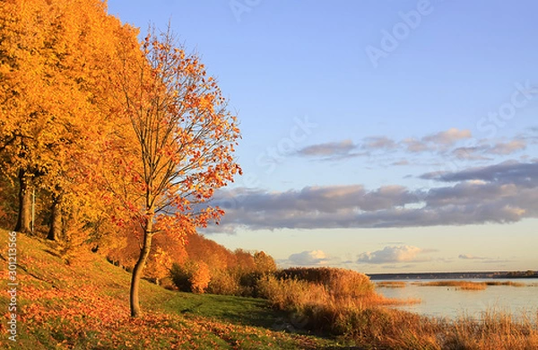 Obraz Park in Riga at autumn, Latvia, Europe.