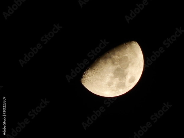 Obraz moon in the sky