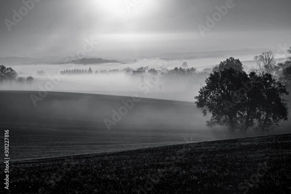 Obraz matin onirique