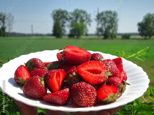 Fototapeta Background of whole strawberries in white plate close up on nature background with blue sky