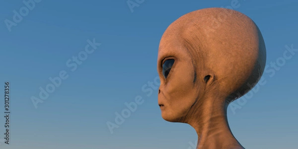 Fototapeta Grey Alien extremely detailed and realistic high resolution 3d illustration of an extraterrestrial being